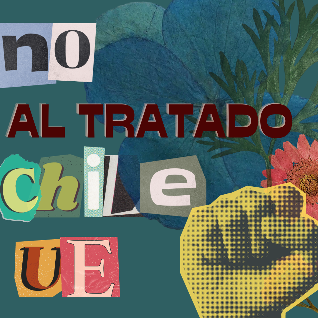 Lee más sobre el artículo Declaración conjunta para pedir a las/los Diputadas/os del Parlamento Europeo que voten NO al Acuerdo Comercial UE – CHILE